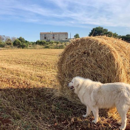Agriturismo La Palascia Masseria Agreste أوترانتو المظهر الخارجي الصورة
