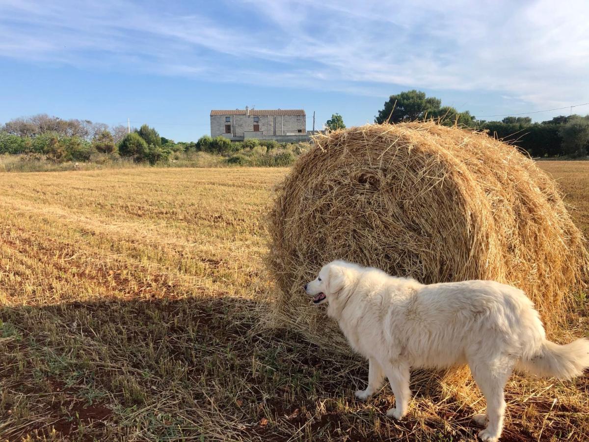 Agriturismo La Palascia Masseria Agreste أوترانتو المظهر الخارجي الصورة